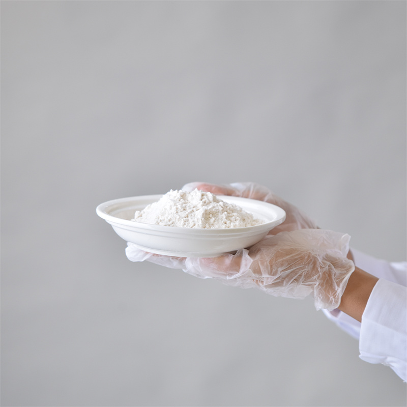 腺苷 5-三磷酸二鈉鹽 CAS 987-65-5